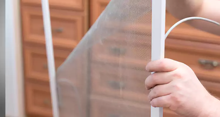 Privacy Mesh Screen Door Installation in West Palm Beach, FL